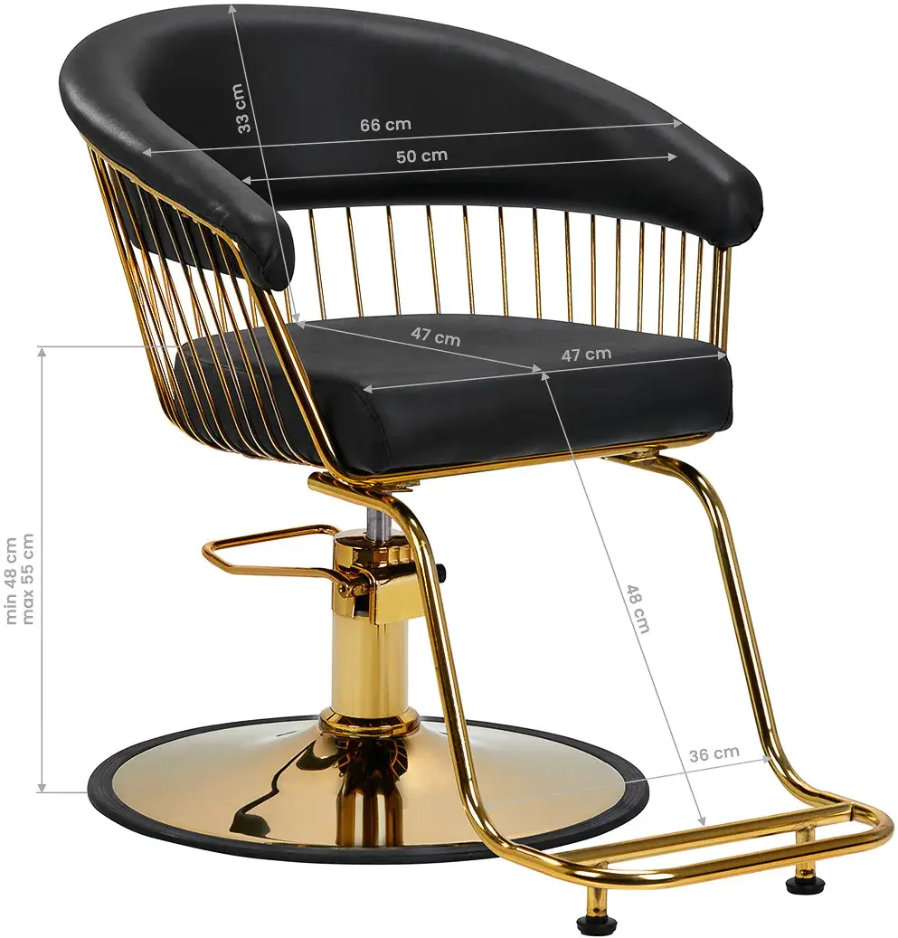 Fotoliu de coafor Hair System Lille 147955 (Black/Gold)