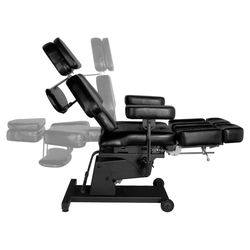 Fotoliu cosmetologic Pro Ink 606 (Black) Thumb