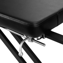 Fotoliu cosmetologic Pro Ink 610 (Black) Thumb