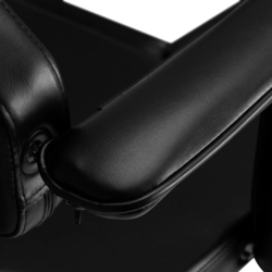 Fotoliu cosmetologic Pro Ink 610 (Black) Thumb