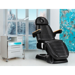 Fotoliu cosmetologic Sillon Lux 273B 3 (Black)