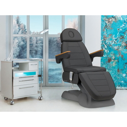 Fotoliu cosmetologic Sillon Lux 273B 3 (Dark Grey)