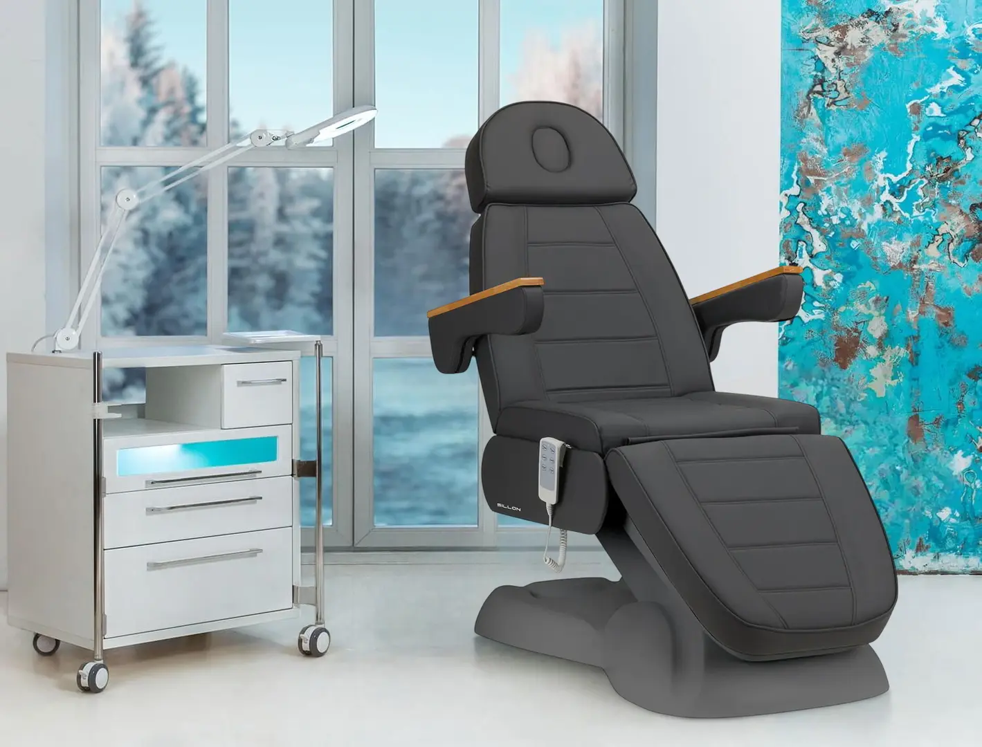 Fotoliu cosmetologic Sillon Lux 273B 3 (Dark Grey)