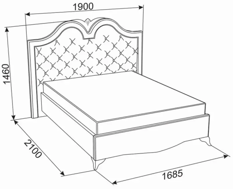 Pat Ambianta King 1.6