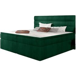 Pat Eltap Softy Kronos 19 140x200 (Green)