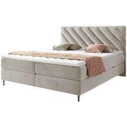 Pat continental Mirjan24 Martand/Enzo 180x200 (Beige)
