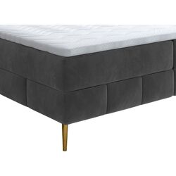 Pat continental Mirjan24 Sagiro/Grace 160x200 (Green) Thumb