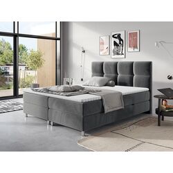 Pat continental Mirjan24 Andromeda/Dave 160x200 (Gray) Thumb