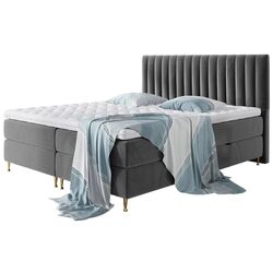Pat continental Mirjan24 Ratel/Elegance 160x200 (Gray)