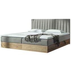 Pat Mirjan24 Bibiarko/Harmony 140x200 (Gold Craft Oak/Gray)