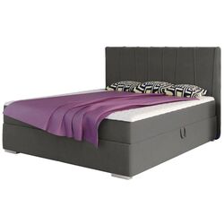 Pat Mirjan24 Jangcy/Molden 140x200 (Gray)