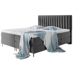 Кровать Mirjan24 Ratel/Elegance 140x200 (Dark Gray)