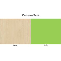 Pat Неман Kombi МН-211-02 (Birch/Lime) Thumb