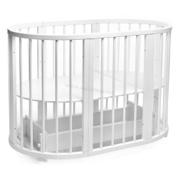 Patuc-transformer Eucalyptus Olivia DS-701 (White)
