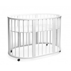 Patuc-transformer Eucalyptus Olivia DS-701 (White) Thumb