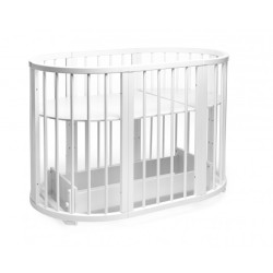 Patuc-transformer Eucalyptus Olivia DS-701 (White) Thumb