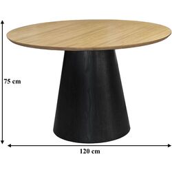 Masa DP Ariana 120x120 (Wood/Black) Thumb