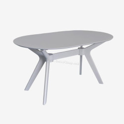 Стол Evelin Raffless Oval (White)