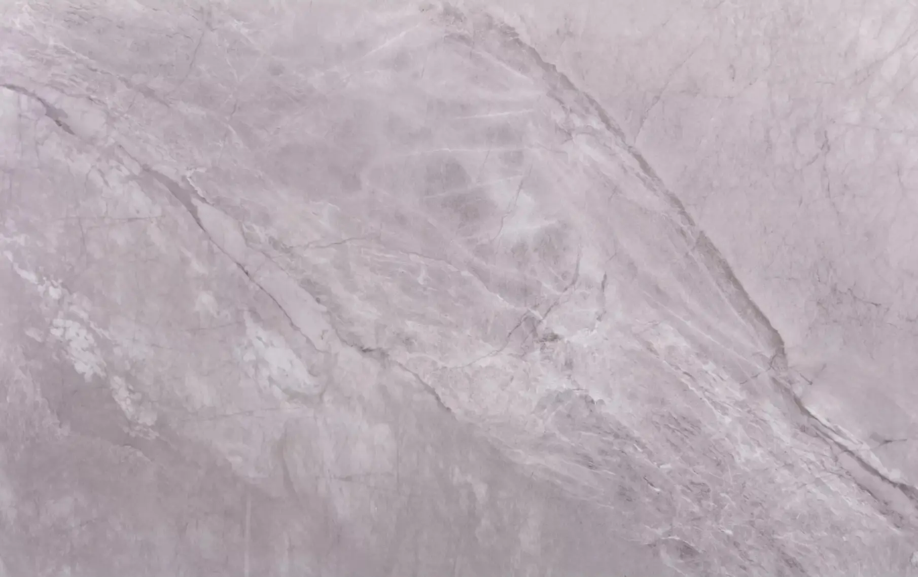 Masa Signal Rion 160 (Grey Gloss/Black)