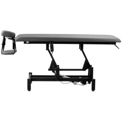 Массажный стол Balance Eso 1 155376 (Grey/Black) Thumb