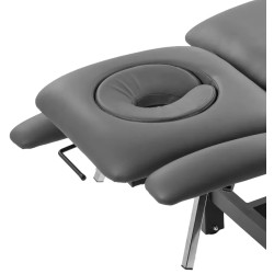 Массажный стол Balance Eso 4 155372 (Grey/Black) Thumb