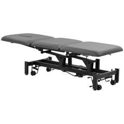Массажный стол Balance Solidum 3 155368 (Grey/Black) Thumb