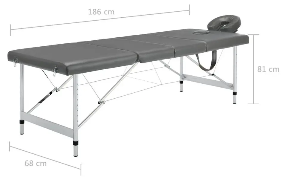 Masa pentru masaj VidaXL 110176 (Anthracite/Grey)