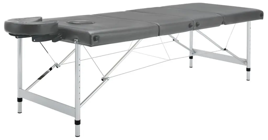 Masa pentru masaj VidaXL 110176 (Anthracite/Grey)