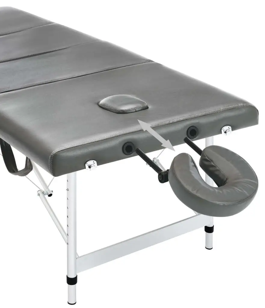 Masa pentru masaj VidaXL 110176 (Anthracite/Grey)