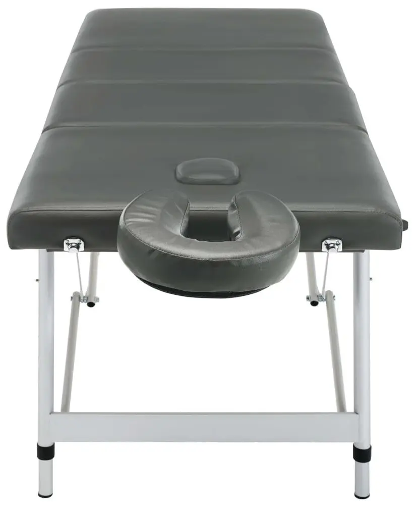 Masa pentru masaj VidaXL 110176 (Anthracite/Grey)