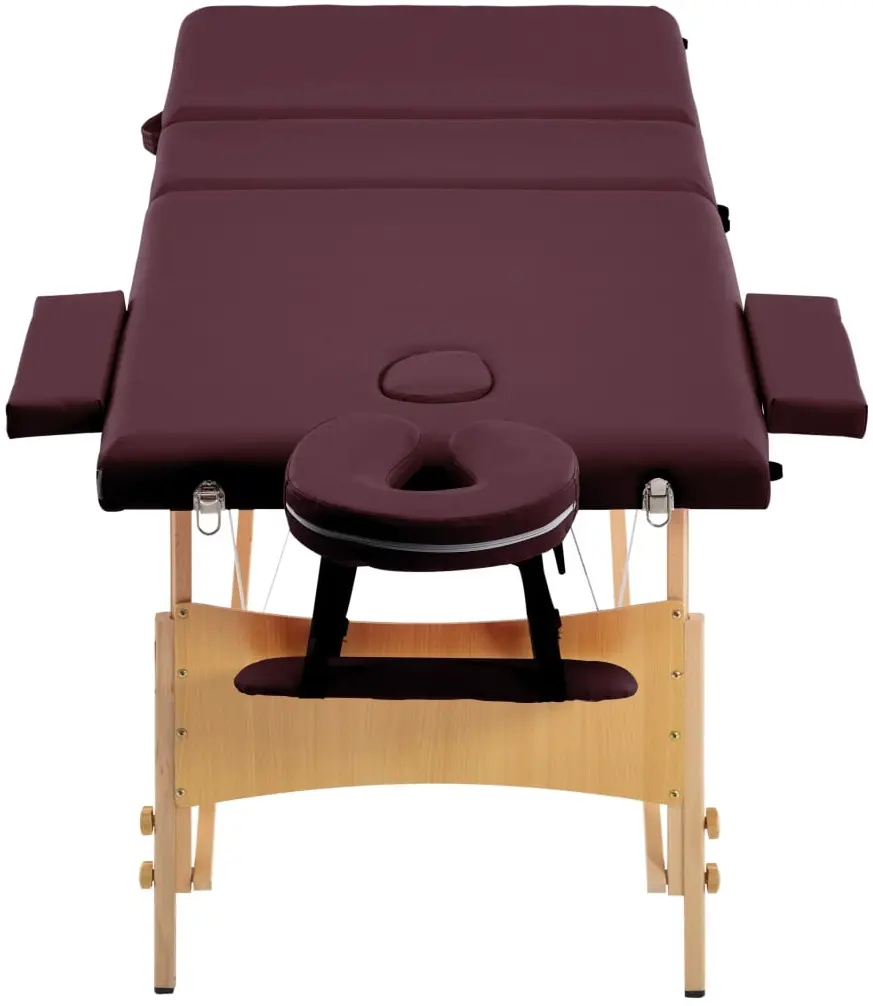 Masa pentru masaj VidaXL 110190 (Purple Wine) - 5