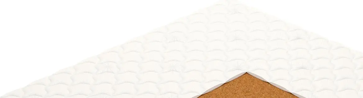 Saltea Vegas Smart Focus 100x200 (19cm)