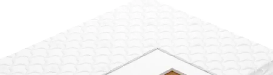 Saltea Vegas Special S-20 100х200 (22cm)