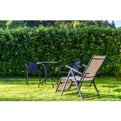 Комплект садовой мебели GardenLine Bistro NEO2262KPL (Dark Brown/Black) Thumb