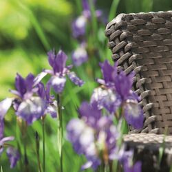 Set mobilier de gradina Keter Corfu Duo (Brown) Thumb