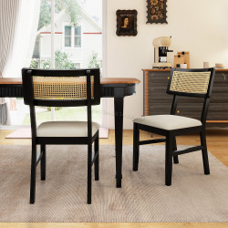 Комплект стульев Costway JV13505BK (Black)