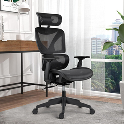 Fotoliu Antares Ester (Black)