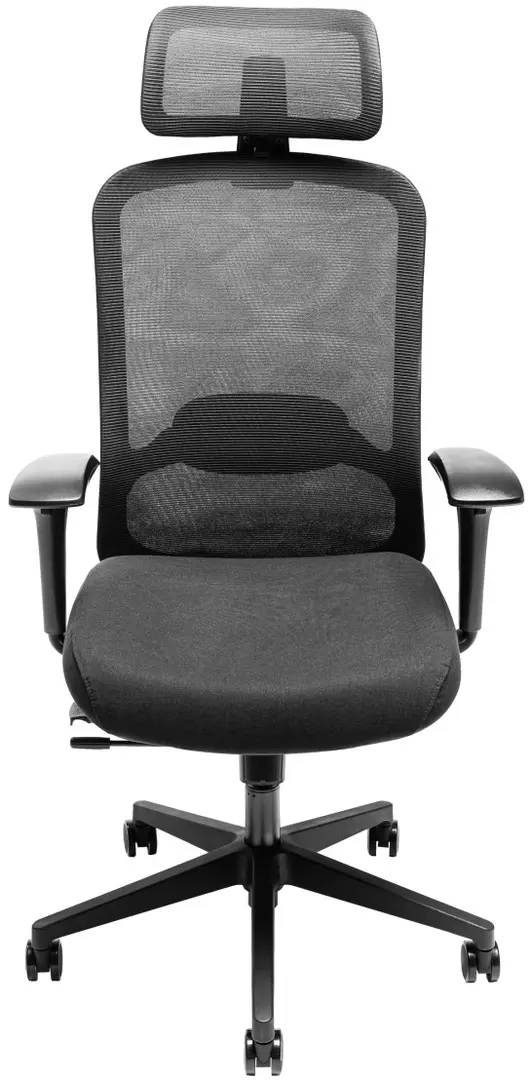 Fotoliu Custo Roma (Black)