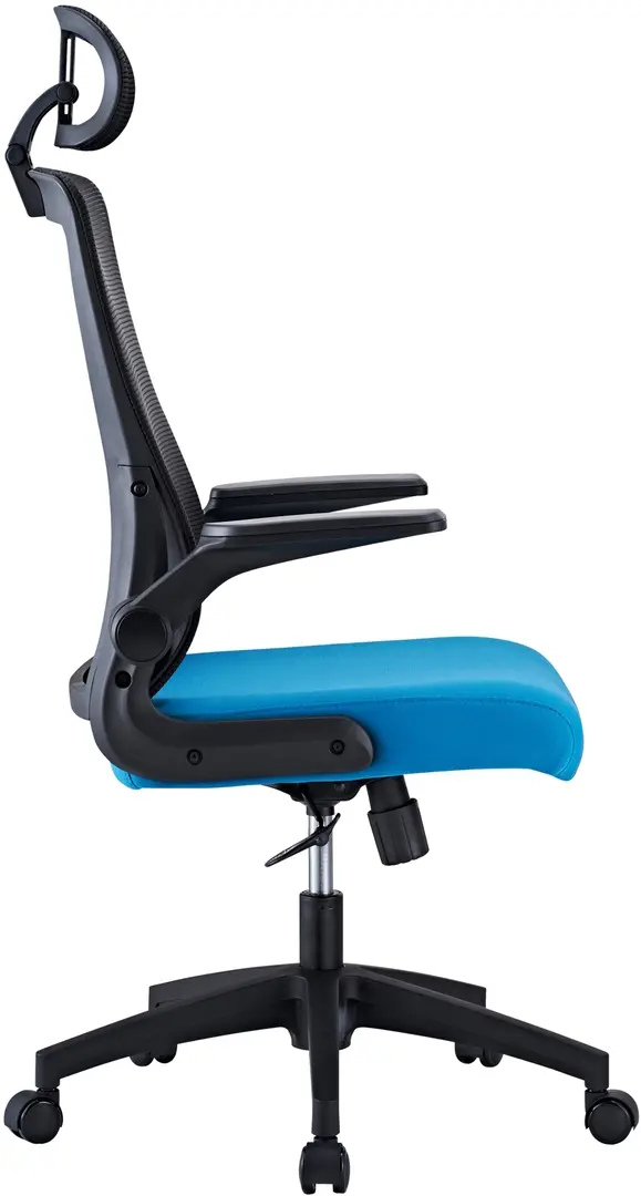 Fotoliu Custo Santander (Black/Blue)