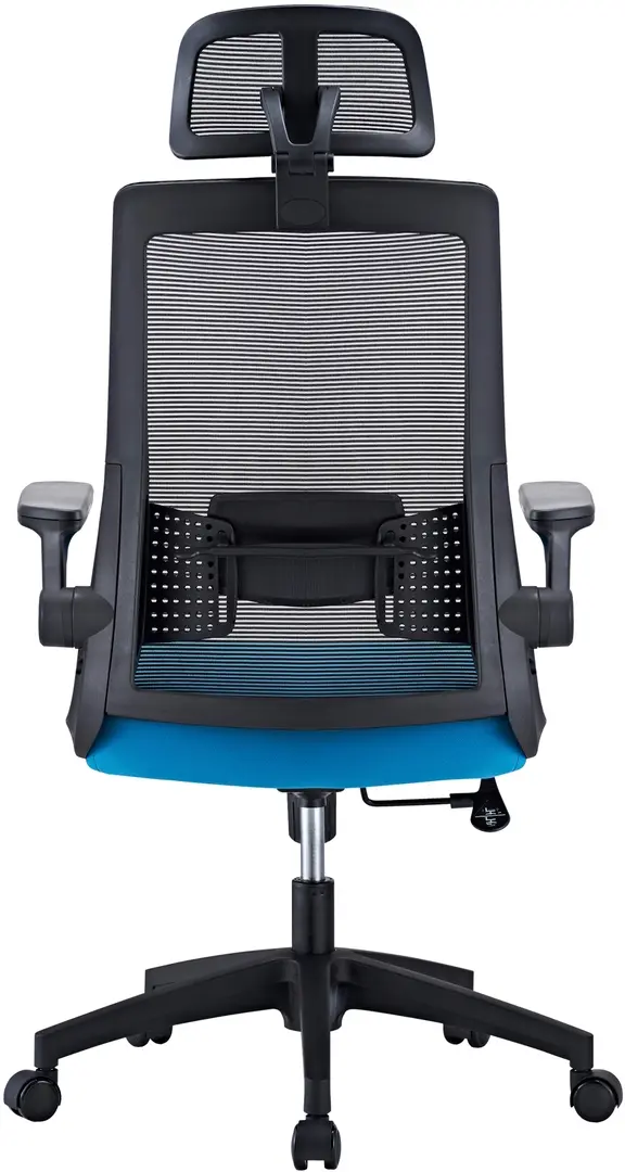 Fotoliu Custo Santander (Black/Blue)