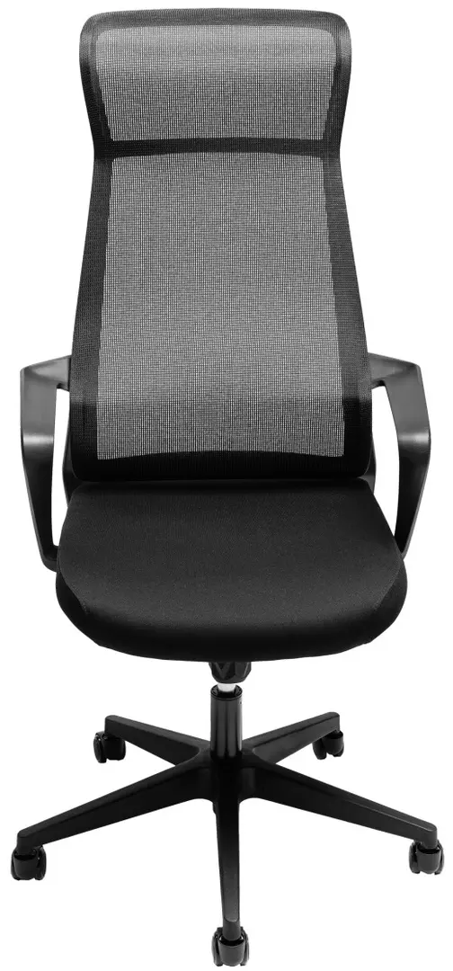 Fotoliu Custo Tallin (Black)