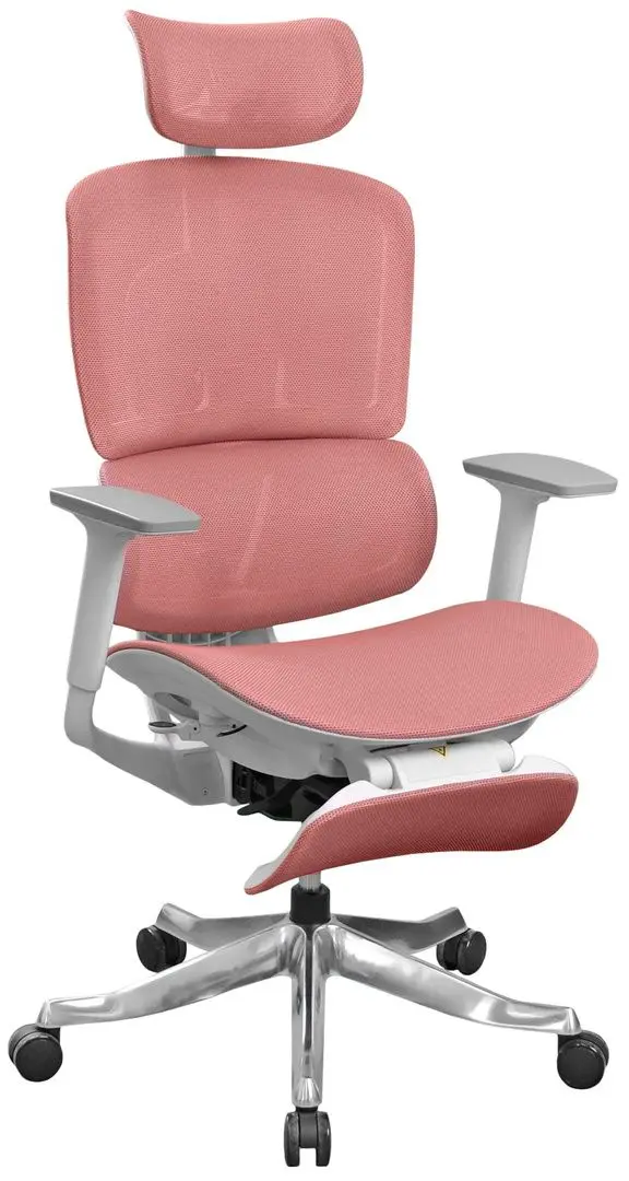 Fotoliu DP A98-HS-QW (Red/White)