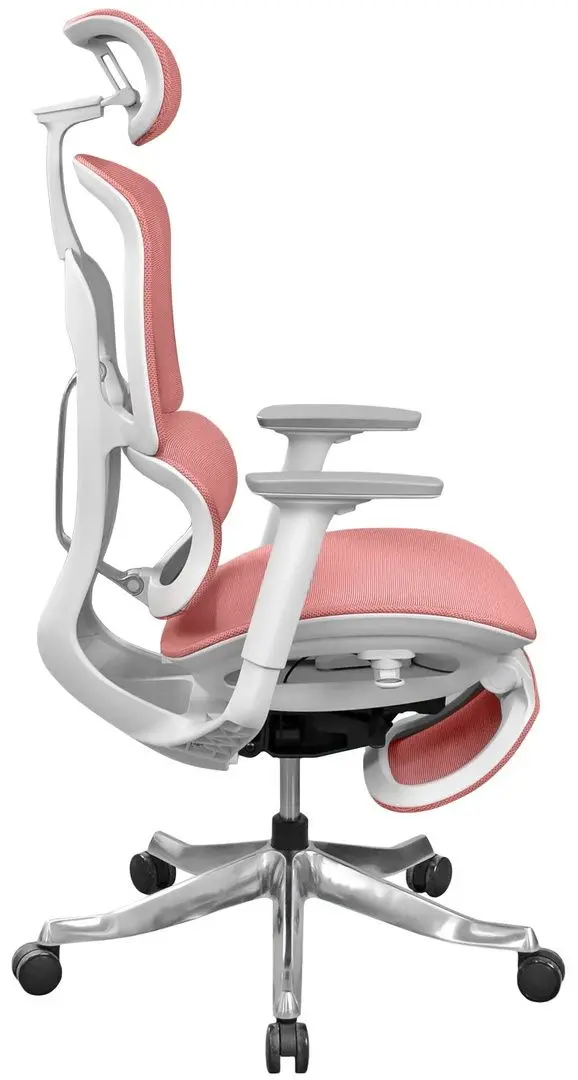 Fotoliu DP A98-HS-QW (Red/White)