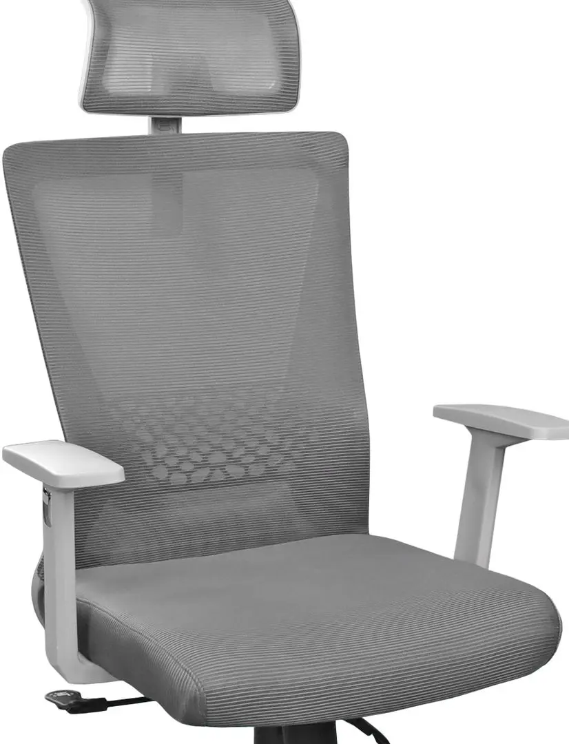 Fotoliu DP Cooper OC-2108 (Gray)