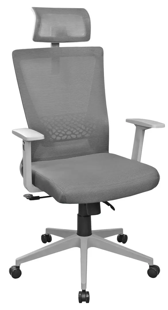 Fotoliu DP Cooper OC-2108 (Gray)