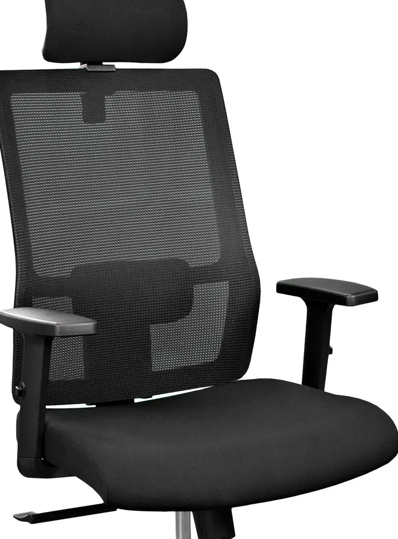 Fotoliu DP Duncan P039A (Black)