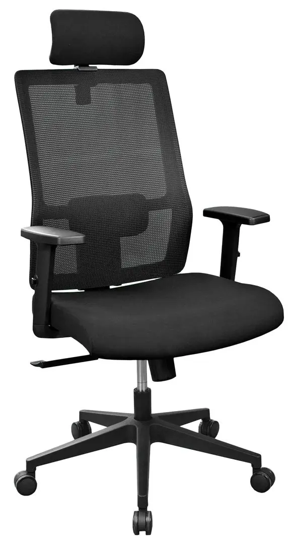 Fotoliu DP Duncan P039A (Black)