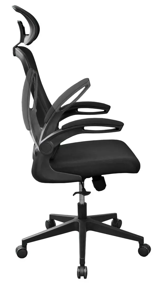 Fotoliu DP Jasper M350A (Black)