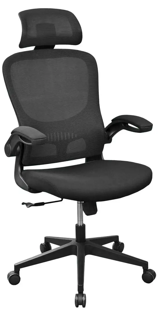 Fotoliu DP Jasper M350A (Black)