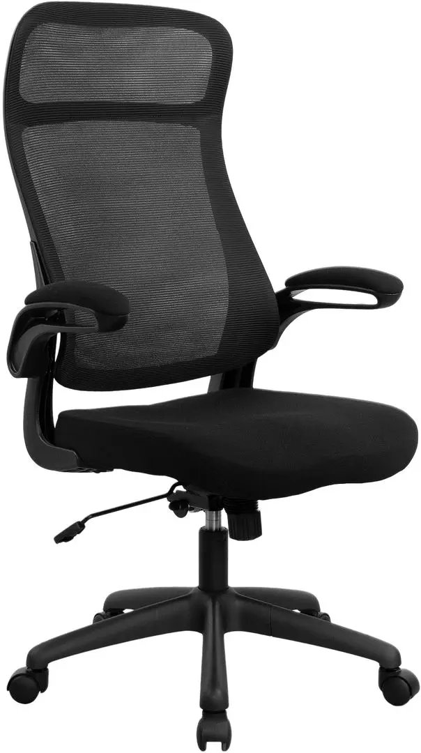 Fotoliu DP Luis (Black)